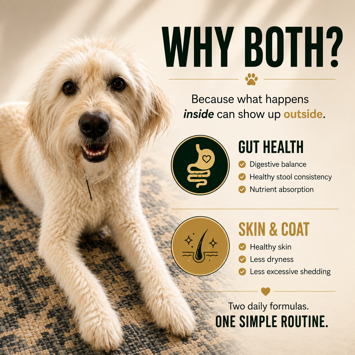 K9-Innovations Daily Gut Health and Daily Skin & Coat dog supplements supporting wellness from the inside out, including digestion, healthy skin and excessive shedding