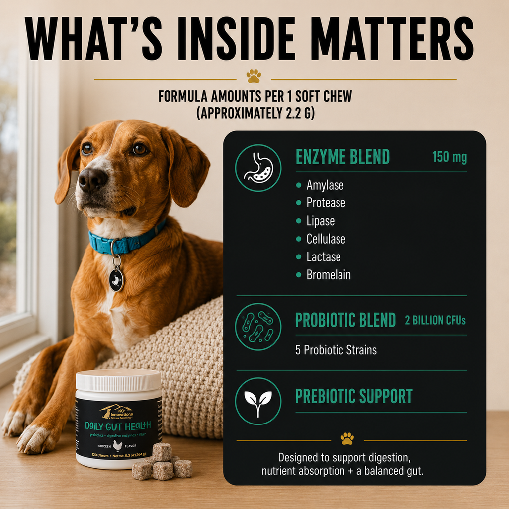 K9-Innovations Daily Gut Health dog chews with 2 billion CFU probiotics, prebiotics and digestive enzymes to support digestion and nutrient absorption.