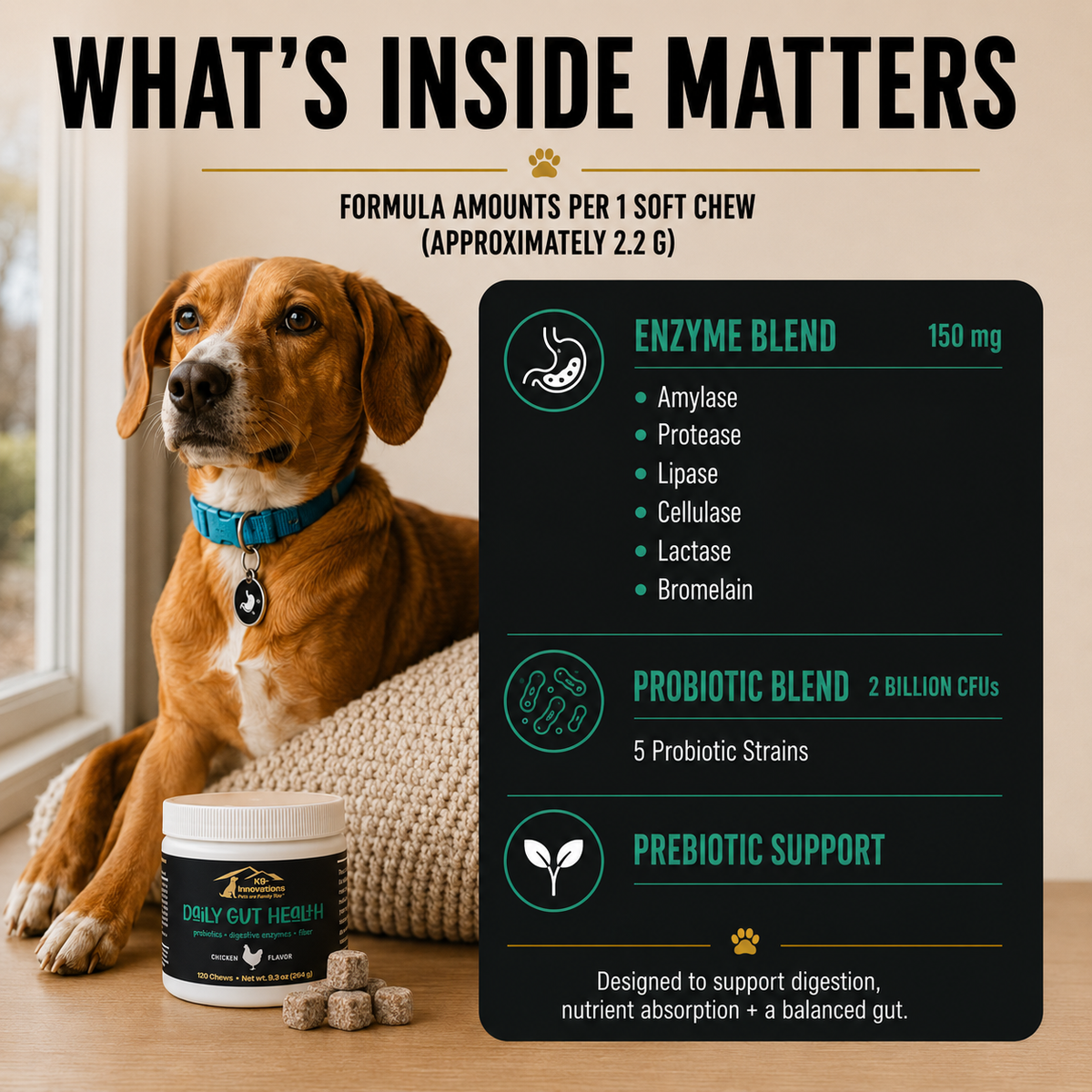 K9-Innovations Daily Gut Health dog chews with 2 billion CFU probiotics, prebiotics and digestive enzymes to support digestion and nutrient absorption.