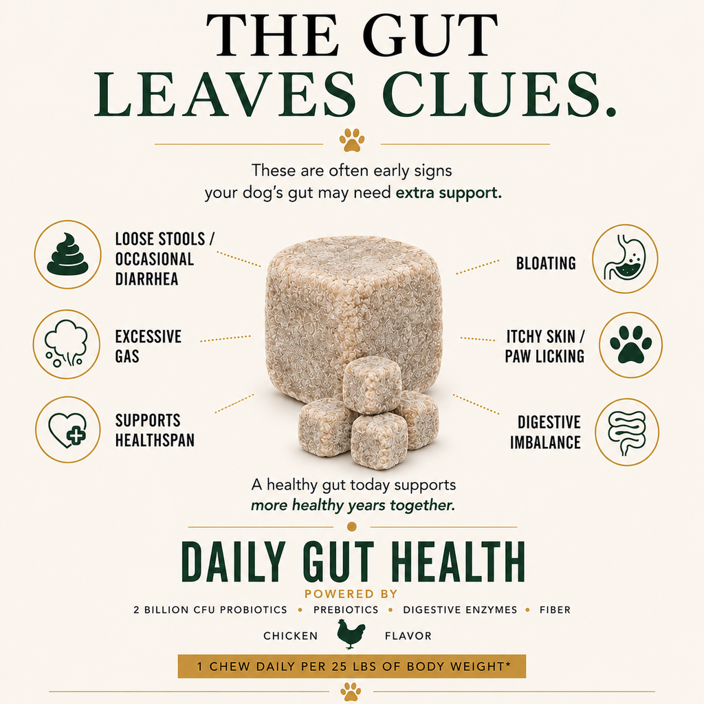 Dog gut health signs including loose stools, gas, bloating, itchy skin and digestive imbalance, with K9-Innovations Daily Gut Health chews