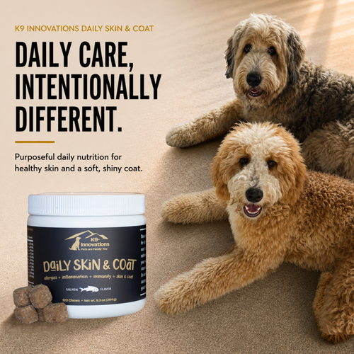 Two dogs with K9-Innovations Daily Skin & Coat soft chews for daily skin and coat wellness support.